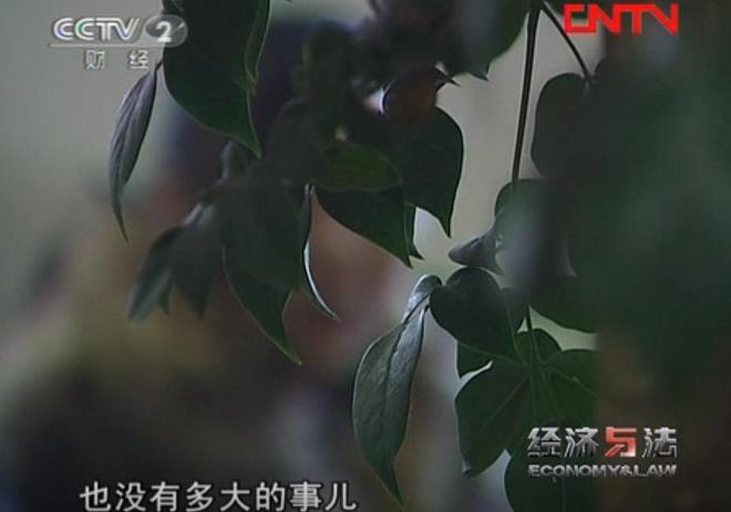 敛财几百万凭一己之力让家族落网贵阳黑老大晏德海覆灭记：疯狂(图9)